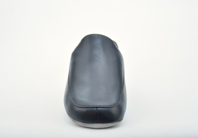 Ilves 456631