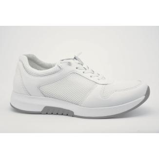 Rollingsoft 86.946.50