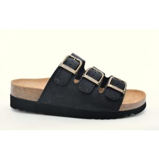 Scholl 15147900