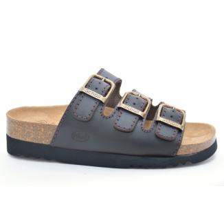 Scholl 15147904